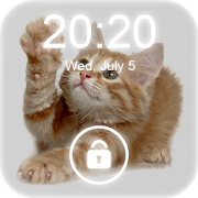 4K Cat Lock Screen Wallpaper 1.0 Icon