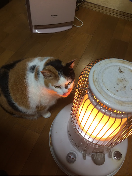 イワチャンさんが投稿したカスタム事例の投稿画像1枚目