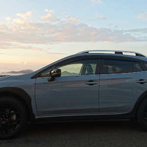 XV