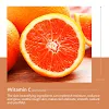 miniatures image - 15
