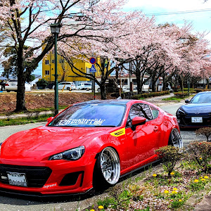 BRZ ZC6