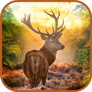 Hack 3D Ultimate Deer Hunter game