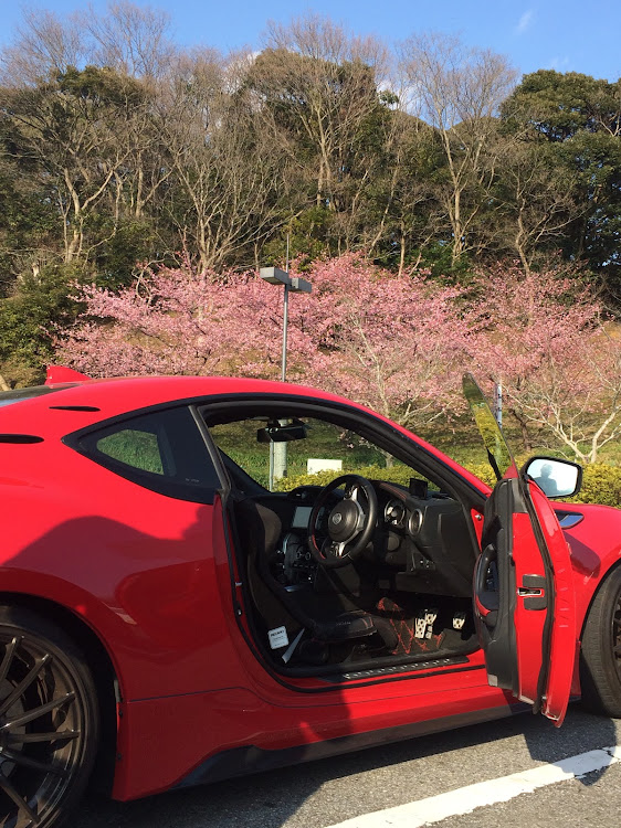 86のドライブ・桜と86に関するカスタム事例の投稿画像2枚目