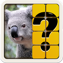 Guess The Picture 3.0.3 APK Herunterladen