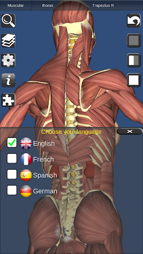 3d Bones And Organs Anatomy التطبيقات على Google Play