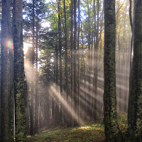 Dio sole nella natura di 