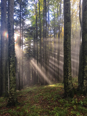 Dio sole nella natura di antoniostante