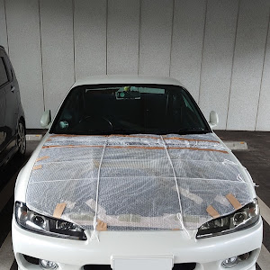 シルビア
