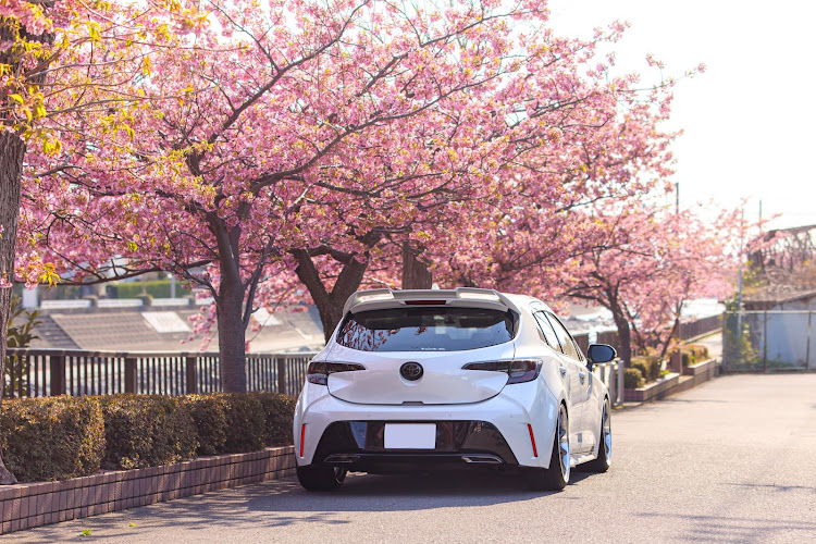カローラスポーツの時差が生まれ始めました・河津桜とコラボに関するカスタム事例の投稿画像2枚目