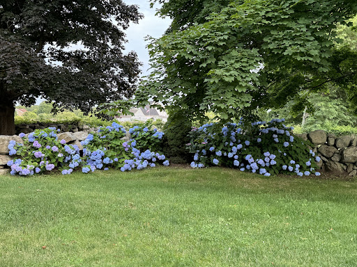 Maison avec jardin 3