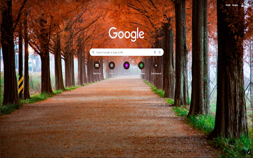 Fall (Autumn) Pathway, South Korea Preview 1