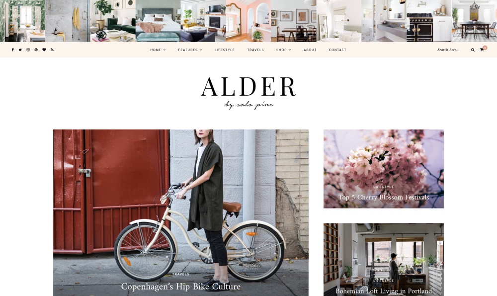 Tema WordPress para blogs Alder