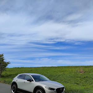 CX-30 DM8P