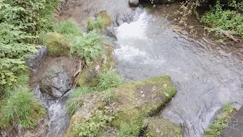 プールの油断は危険！