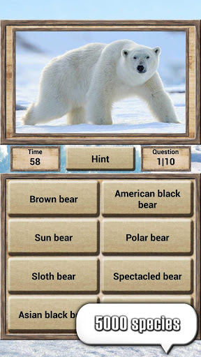 Screenshot Animal Kingdom - Quiz Game