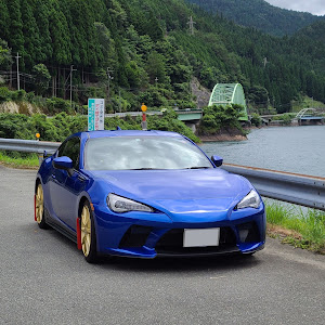 BRZ ZC6