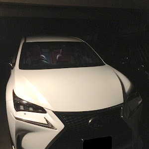 NX AGZ15