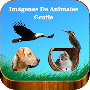 Imágenes De Animales Gratis  Icon