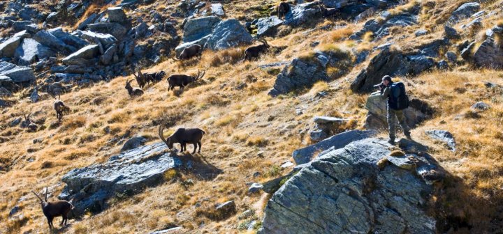 Il fotografo Naturalista di nic_gasp