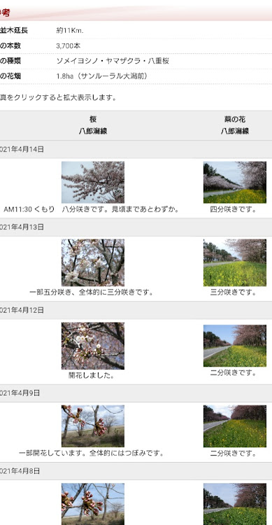 RCの菜の花ロード・大潟村・早朝撮影予告！・見た目より走り重視・RCFのリアバンパー落ちてないかな…に関するカスタム事例の投稿画像2枚目