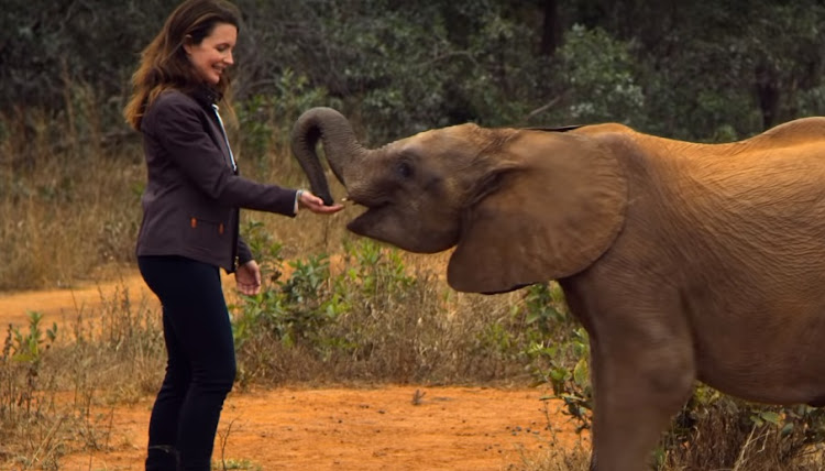 Kirsten Davis in a scene from 'Holiday in the Wild'.