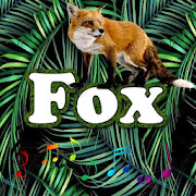 Best Fox Sounds  Icon