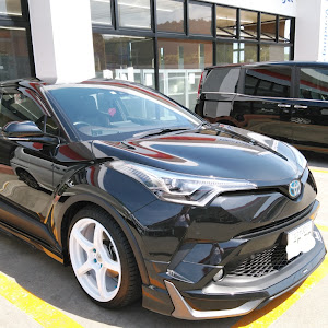 C-HR ZYX10