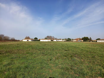 maison neuve à Montbeton (82)