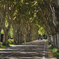 Strade di Provenza di 