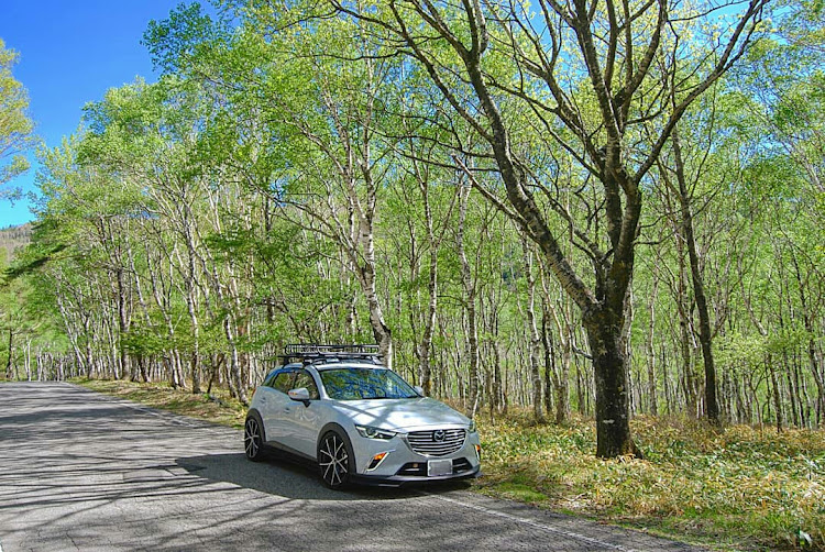 CX-3のビーナスライン・ドライブ・YAKIMA・THULEに関するカスタム事例の投稿画像1枚目