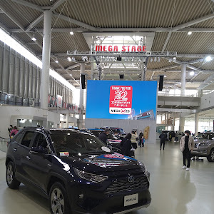 RAV4 MXAA54