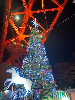 クリスマスで大はしゃぎ