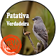 Download Canto Patativa Verdadeira For PC Windows and Mac 1.0