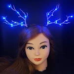 24branch blue light