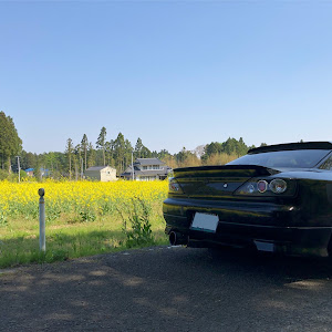 シルビア S15