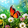 Hidden Object Adventure icon