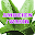 Obat Ambeien Wasir Tradisional Download on Windows