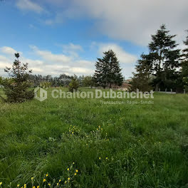 terrain à Cordelle (42)