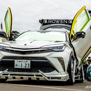 C-HR ZYX11