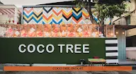 Coco Tree photo 3