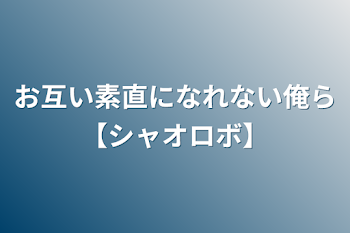 お互い素直になれない俺ら【シャオロボ】