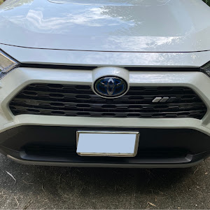 RAV4 AXAP54