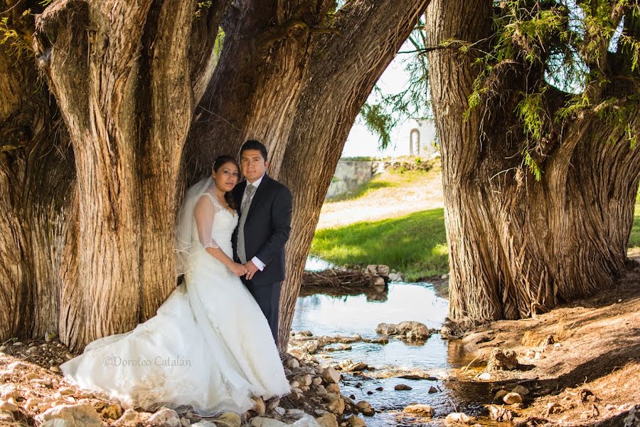 Fotografo di matrimoni Doroteo Catalán (doroteocatalan). Foto del 9 ottobre 2015