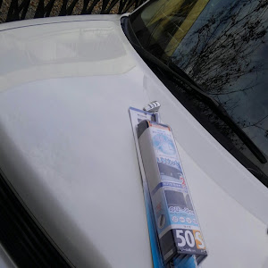 bB NCP30