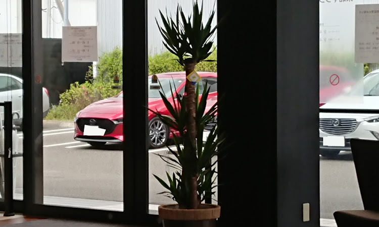 MAZDA3のエアバッグシステム・シートベルトプリテンショナー・6ヶ月点検・ソウルレッドクリスタルメタリック・異常に関するカスタム事例の投稿画像1枚目