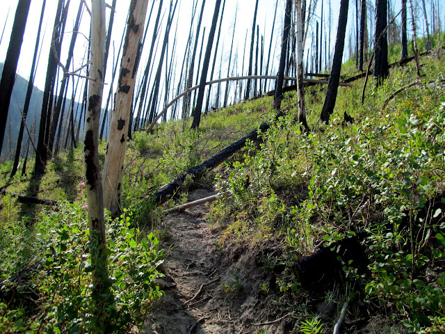 Steep trail up the south ridge