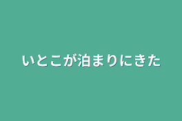 いとこが泊まりにきた