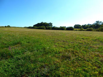 terrain à Arnac-Pompadour (19)