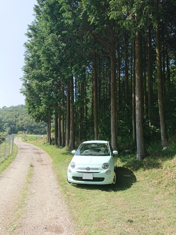 amaさんが投稿したカスタム事例の投稿画像1枚目