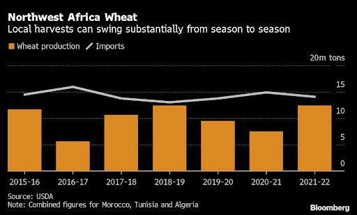 Wheat is wilting, and cities are planning to ration water, as stretches of North Africa’s grain belt suffer the worst drought in 30 years.